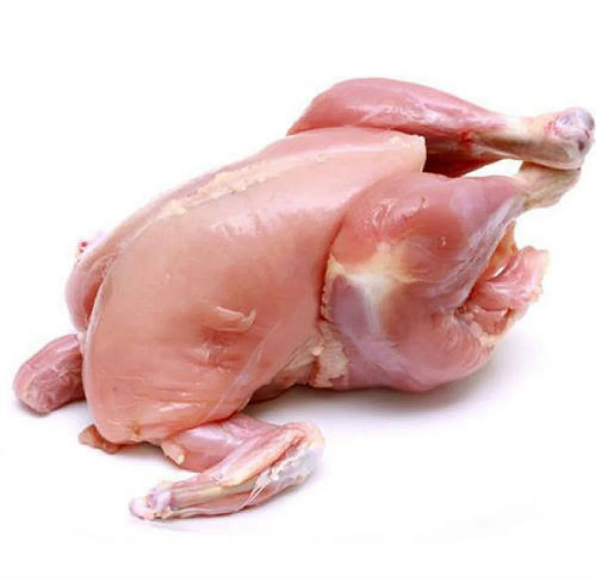 Fresh Chicken