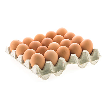 Egg Bulk